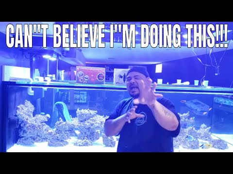 Rico's Aquariums 10k Roast