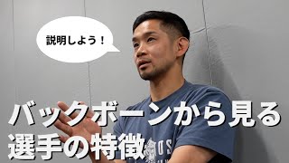 バックボーンの特徴を徹底解説！MMAにおける最強のバックボーンとは？