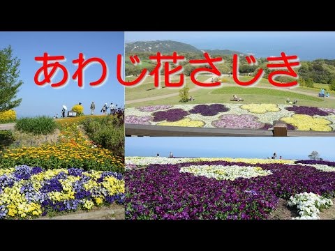 【関西お出かけスポット】 あわじ花さじき