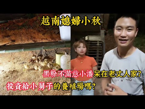 【越南媳婦小秋】養殖場正式開啟，養殖場是小潘投資小舅子的嗎？蛇太多只能養鵝驅蛇？粉絲為什麼不滿意小潘待在老​​丈人家？