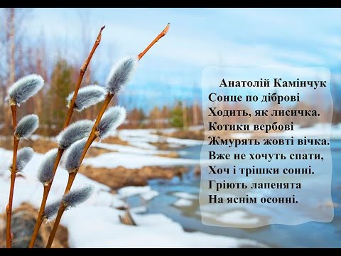 Анатолій Камінчук Сонце по діброві  Вчимо вірш он-лайн з дітьми 3-4-х років