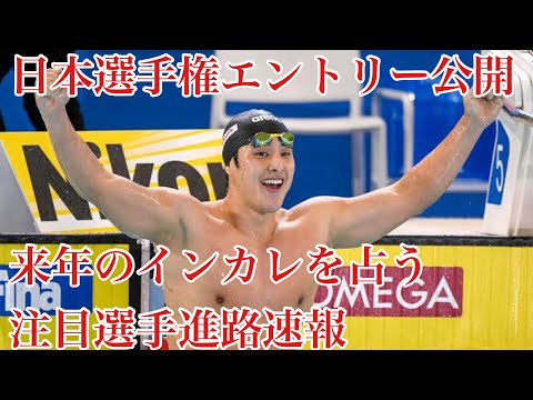 【速報】水泳マニアの注目ポイント！競泳日本選手権のエントリーが公開！注目選手の進路はどこ？！