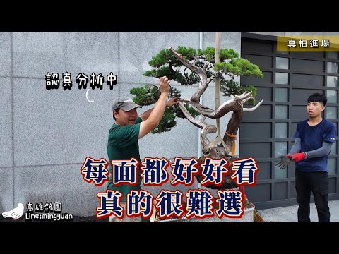 ｜改造開運小花台｜#台灣銘園 #台灣銘園園藝事業有限公司 #景觀設計