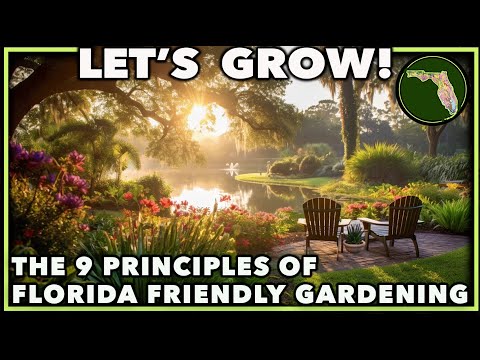 FLORIDA FRIENDLY LANDSCAPING PRINCIPLES: Gardening how-to discussion from a Landscape Architect