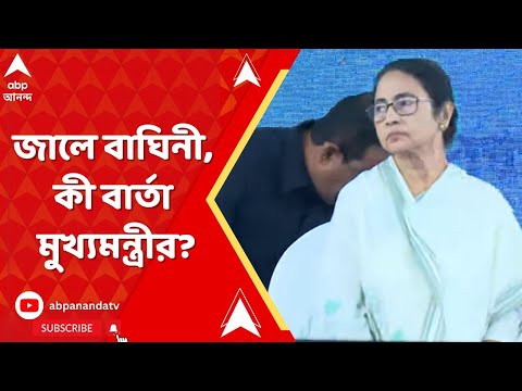 Mamata Banerjee : অবশেষে জালে বাঘিনী। বনদফতরকে সাধুবাদ জানালেন মুখ্যমন্ত্রী