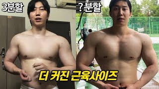 분할법 바꿨더니 1년새 일어난 근육사이즈 변화 (이유+방법)