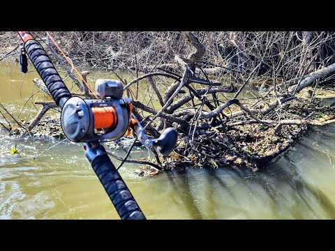 HUGE Fish Live in UNDERWATER TREE PILES!! (River Fishing)