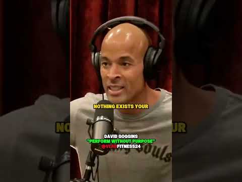 Are you being a b*tch today? David Goggins