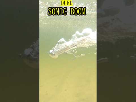 DUEL SONIC BOOM SBポップ #fishing #ショアジギング