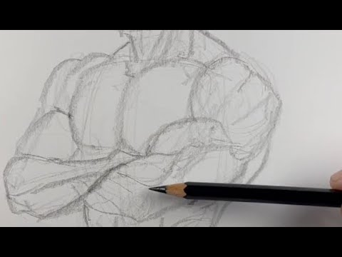 The most effective plan for drawing the figure