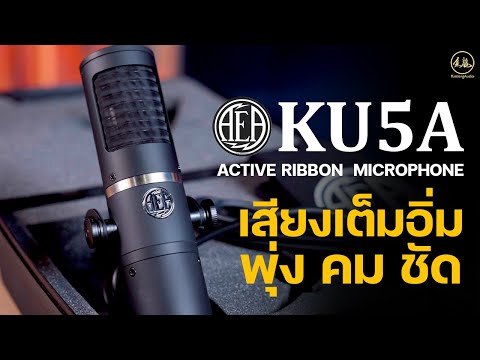 AEA KU5A | ไมโครโฟน Active Ribbon เสียงเต็มอิ่ม พุ่ง คมชัด