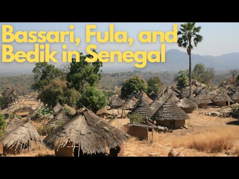 Exploring the Rich Cultural Landscapes of Bassari, Fula, and Bedik in Senegal