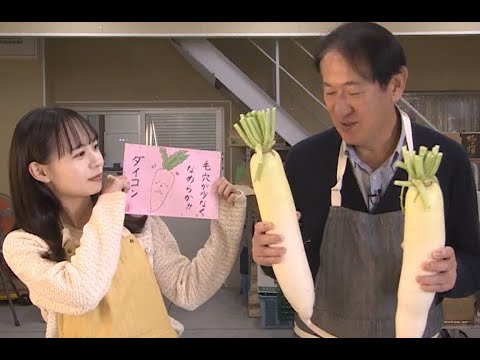 【追跡！野菜のお値段】 注目！新川だいこん