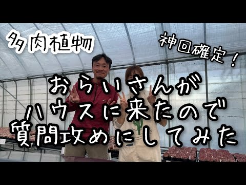 【多肉植物】神回確定！おらいさんに質問コーナー！！【ミックスベリア】