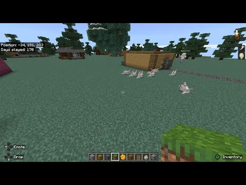 Minecraft poor dogs