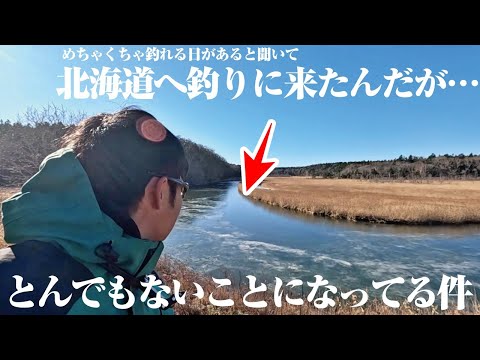 1年に一度“超釣れる日”が訪れると聞いて来てみたら…川がとんでもない状況になっていた件。こんな状況を打開する怪魚ハンターの本気に注目して欲しい。