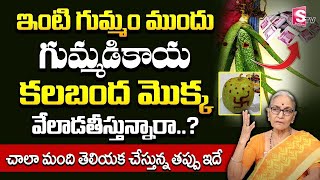 Intiki Gummadikaya Eppudu Kattali | ఇంటికి గుమ్మడికాయ ఎప్పుడు కట్టాలి..? | Gummadikaya | Nara Disti