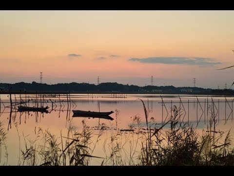 帰って来やれ　水城なつみ　cover　青島 通