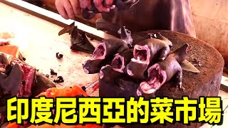 The most terrifying vegetable market in Indonesia, bat meat and python meat, be careful! !