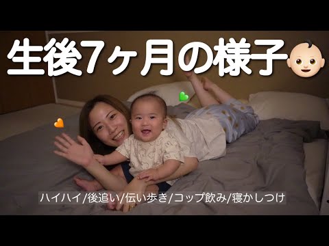 【生後7ヶ月ルーティン】お座り/ハイハイ/伝い歩き【ワンオペ育児】