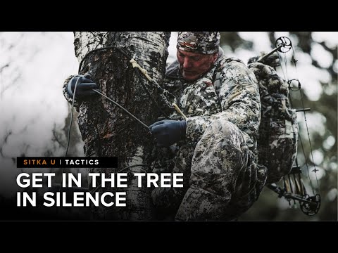 Stealthy Treestand Access Tips from a Whitetail Guide