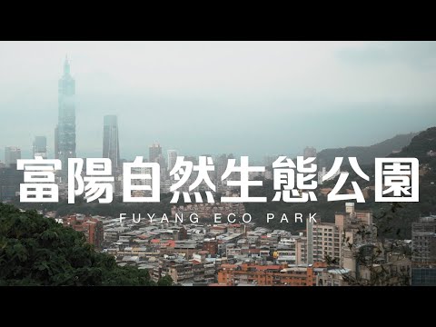 Taiwan Travel: Fuyang Eco Park | Taipei