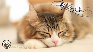 Harp Music to Calm Your Cat ♬ Relaxing Cat Music Mix ♬ Relaxation and Sleep Music