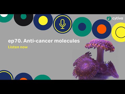 Discovery Matters | Ep70. Anti-cancer molecules