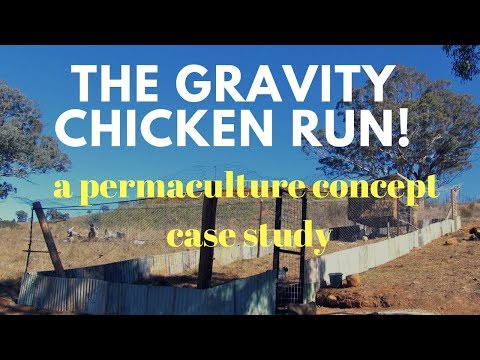 How to Build a Gravity Chicken Run!