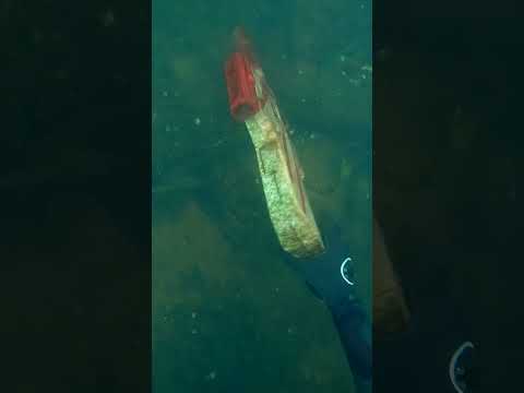 Found Fortnite Gun Underwater While Scuba Diving!