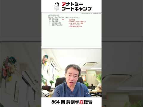 【 #国試1分道場 ・神経系】視床下部の働きで適切でないのはどれか。　１．感覚の中継　２．摂食の調節　３．自律機能の調節　４．概日リズムの形成 #かずひろ先生 #解剖学