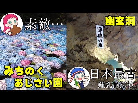 【夫婦岩手旅】『マツコの知らない世界』で話題！「みちのくあじさい園」/日本最古の鍾乳洞探検「幽玄洞」/「猊鼻渓」砂鉄川の鮎が最高！ポケモントレインも【岩手帰省・一関市】