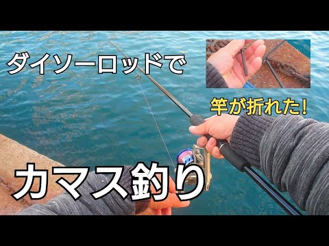 折れたジギングロッドの代わりにダイソーロッドでカマス釣りをやったら竿のしなりが楽しすぎた!