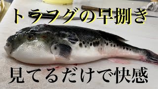 ふぐ#さばき方 #魚 #ふぐ