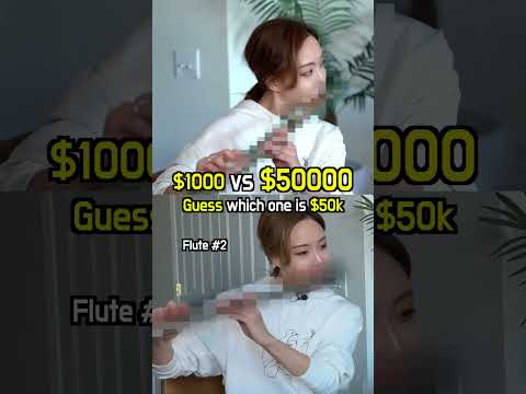 Guess which one is $50000 flute #flute #flutist #classicalmusic