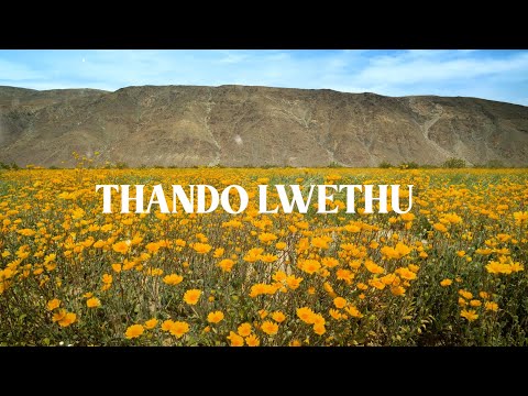 Lowsheen x Master KG - Uthando Lwethu (Feat. Mashudu) [Official]