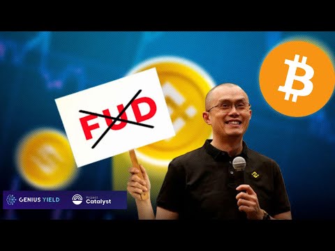 Is Binance FUD Real..? Bitcoin Price Update | Genius Yield Top Three Proposal In Catalyst Fund10