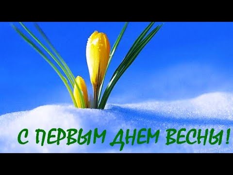 С НАЧАЛОМ ВЕСНЫ 🌼/ Красивое Пожелание С Первым Днём Весны / 1 марта