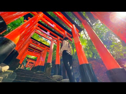 A day spent at one of the many fantastic red torii power spots⛩｜Fushimi Inari-taisha shrine, Kyoto