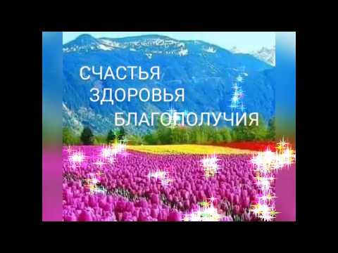 Доброе утро🌺🌹🌺🌹🌺всего вам доброго🌸🌷🌸🌷🌸