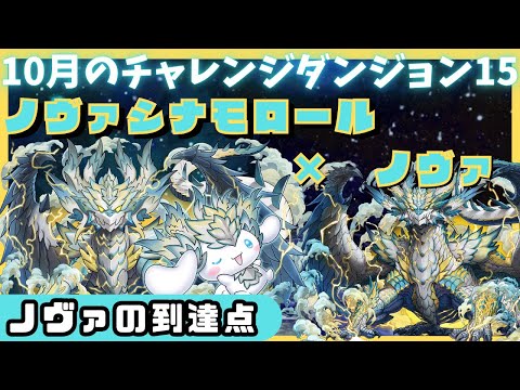 【パズドラ】10月のクエストダンジョンLv15 ノヴァシナモロール