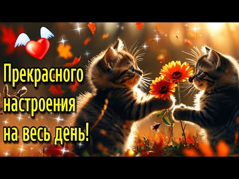 🌞☕Самого доброго осеннего  утра!🍁Благословенного дня!🌞Красивая музыкальная открытка