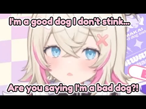 Mococo is a stinky dog... [hololive / fuwamoco]