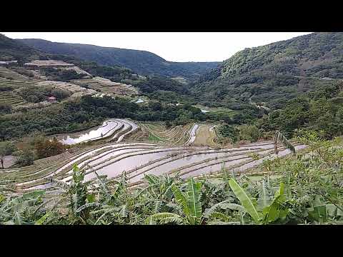 ×嵩山社區水梯田