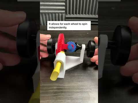 3D Printed Model of a Differential