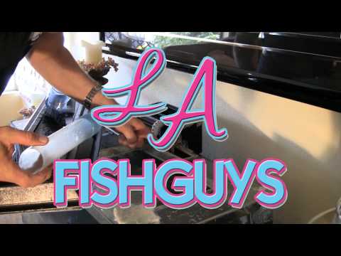 Sixteen Years and 50 Gallons, LA Fishguys, Episode 113 pt 2