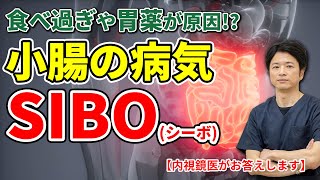 食べ過ぎや胃のお薬が原因？　SIBO（シーボ）ってどんな病気ですか？ 小腸について秋山先生に聞いてみた！ No100