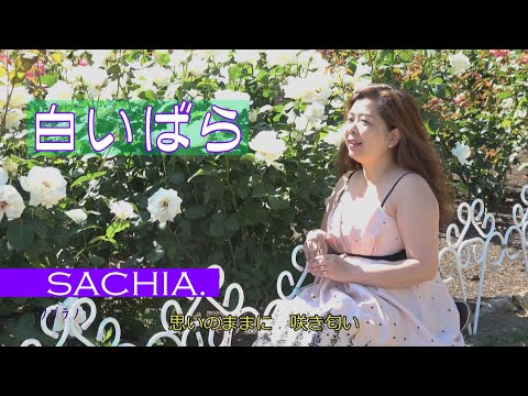 白いばら  ソプラノ歌手 SACHIA. さちあ　フィンランド民謡