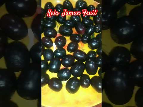 నీలం పండ్లు Kala Jamun Fruit | Black Plum #viral#kalajamun#blackplum#fruits