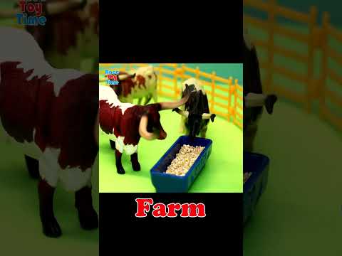 Little Farm For Kids #animals #diorama #kids   #toys